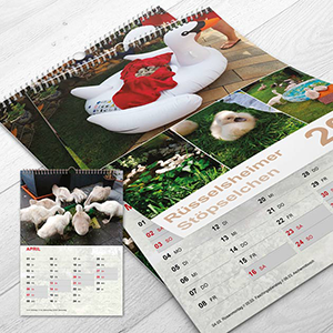 Stöpselchen Kalender 2019